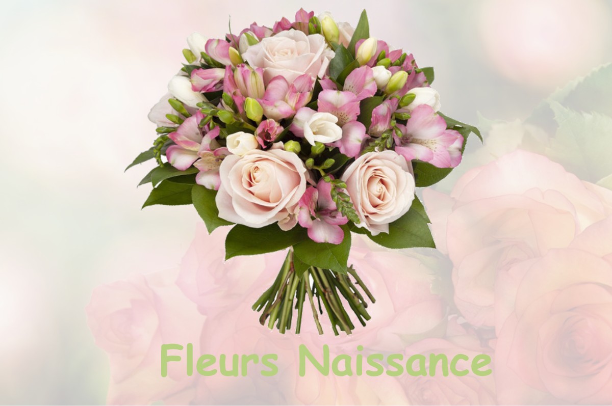 fleurs naissance ANNOISIN-CHATELANS