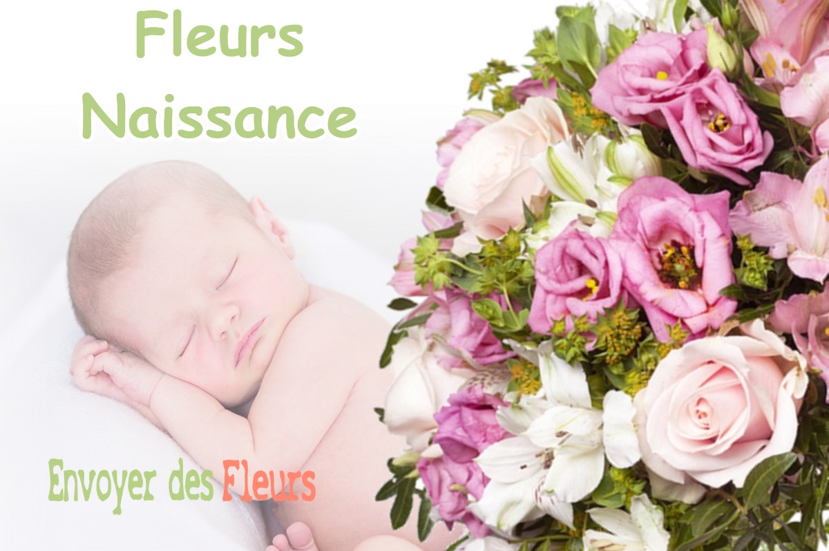 lIVRAISON FLEURS NAISSANCE à ANNOISIN-CHATELANS